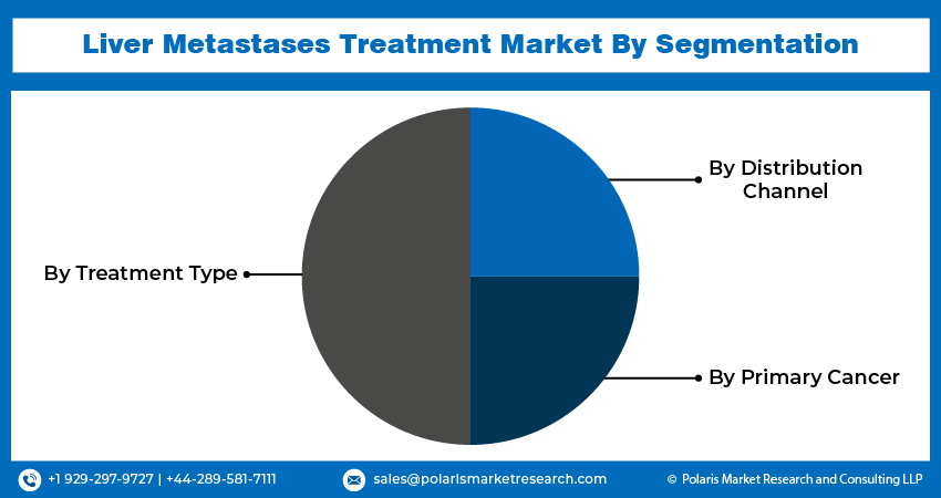 Liver Metastases Treatment Seg